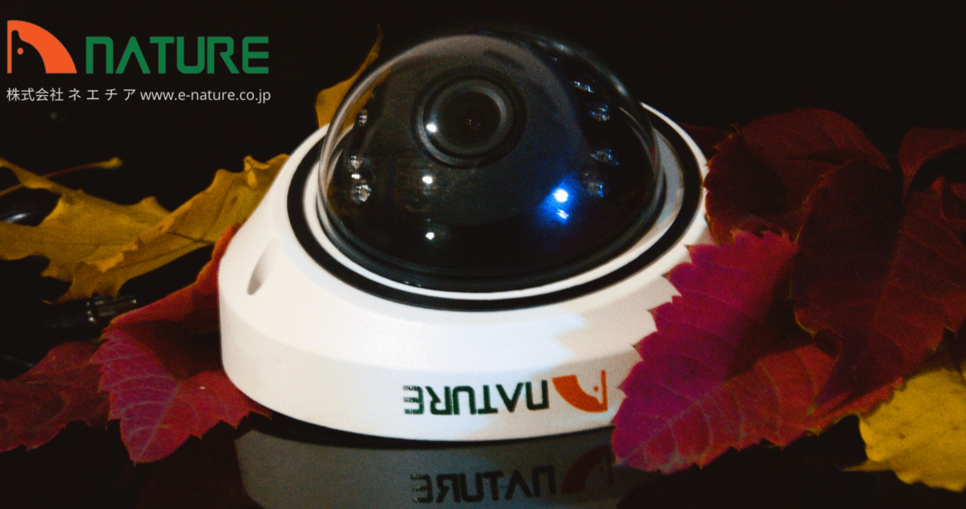 Новинка камера NATURE IMX225 